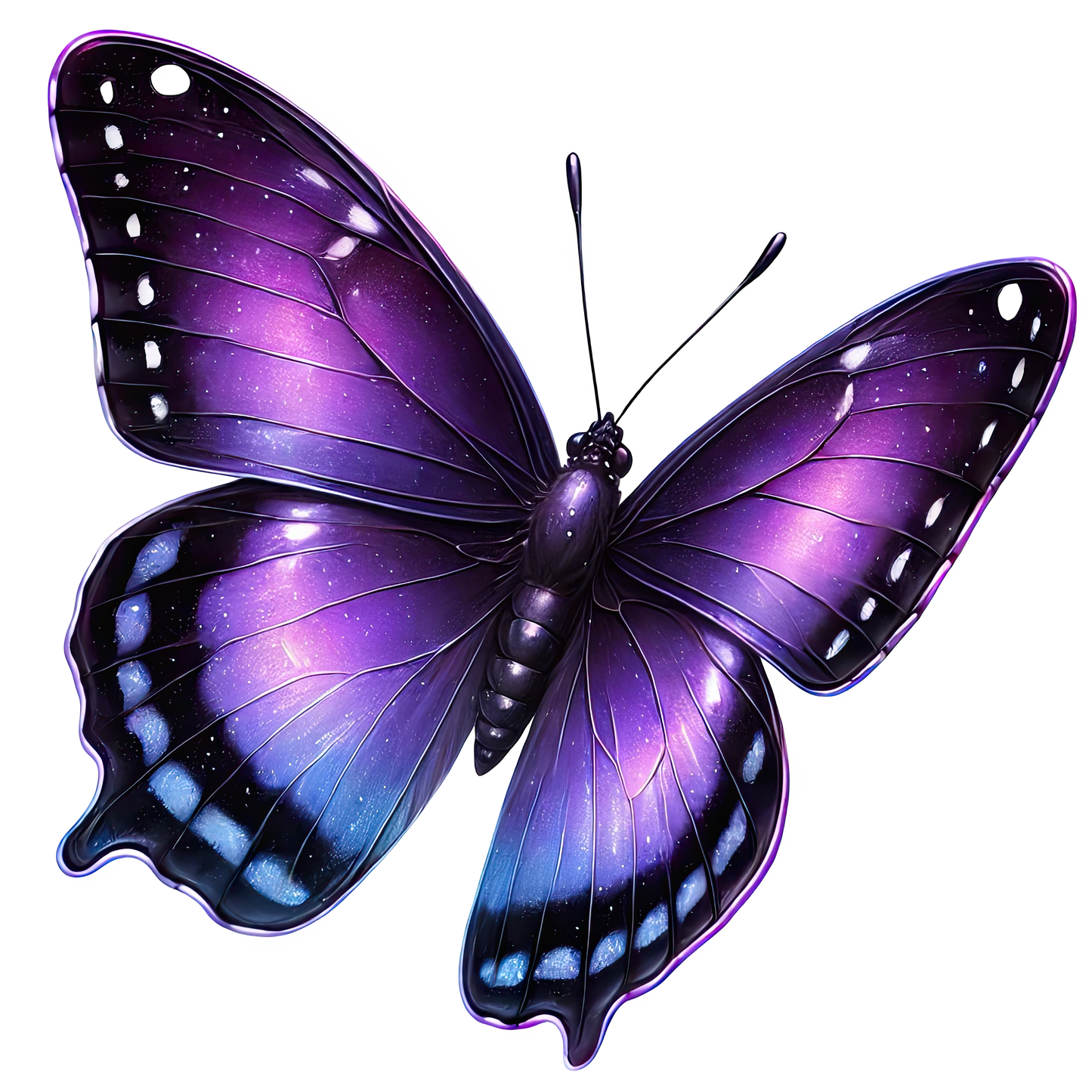 Butterfly 8