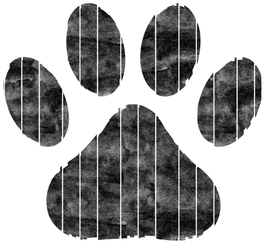 Black Dog Paw
