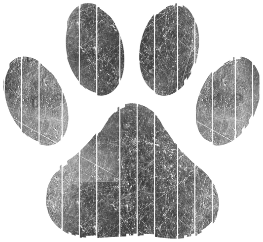 Grey Dog Paw