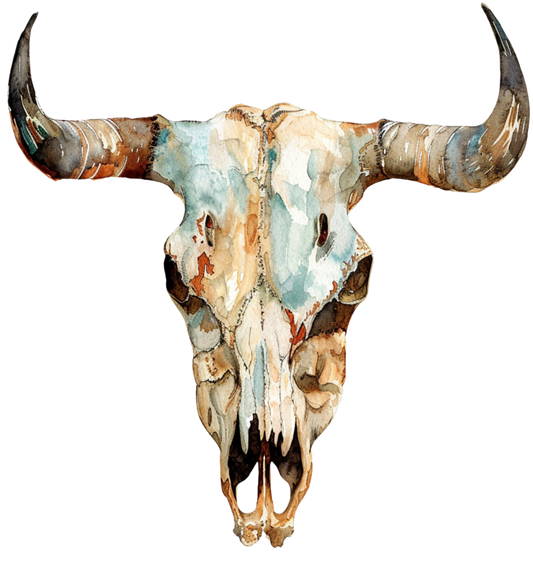 Bull Skull 2