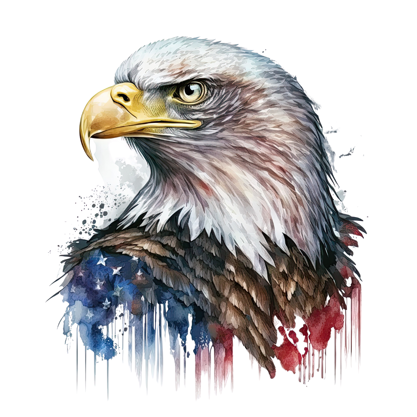 Eagle 6