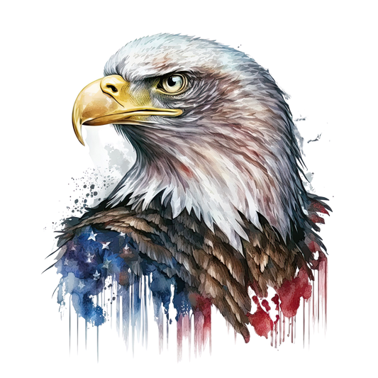Eagle 6