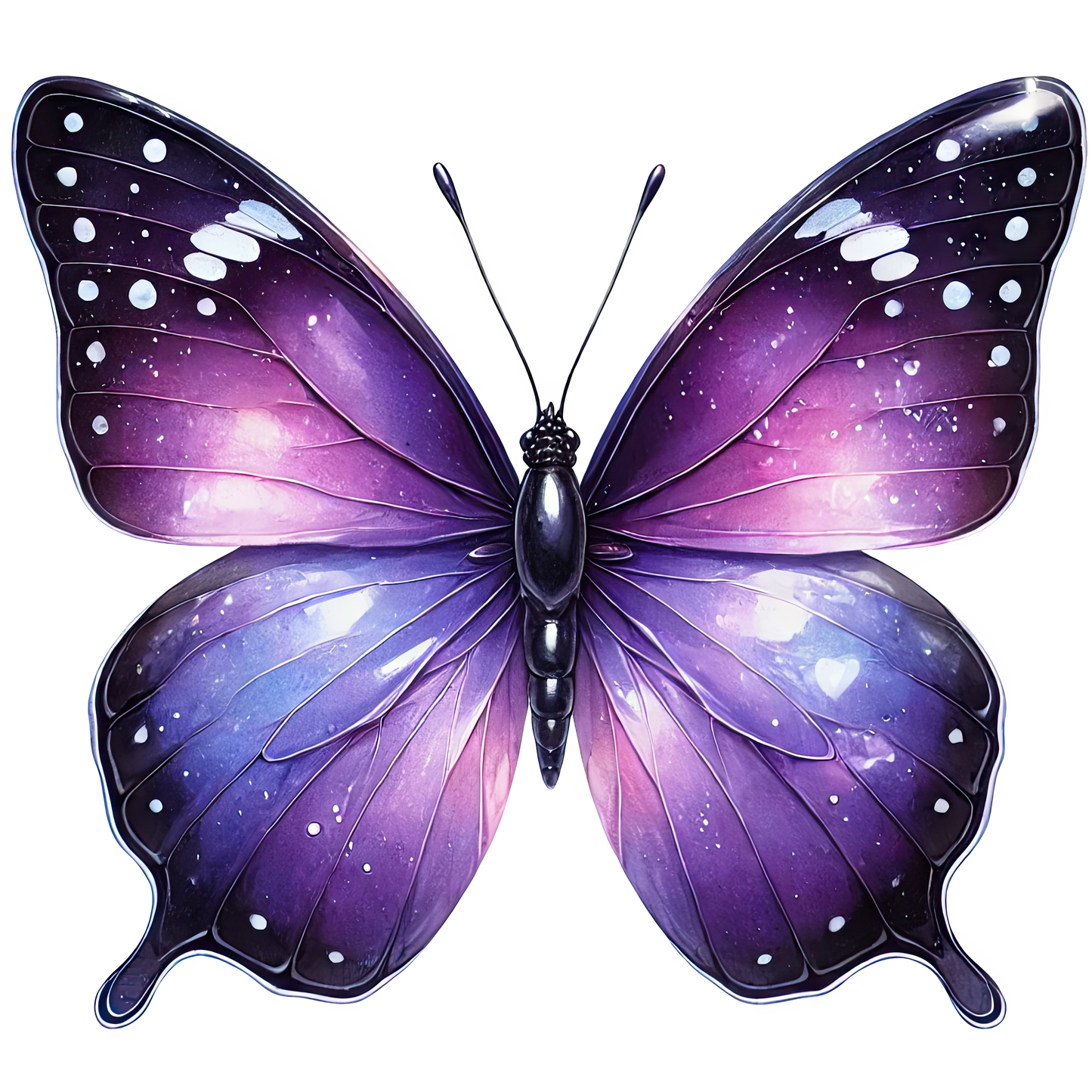Butterfly 9