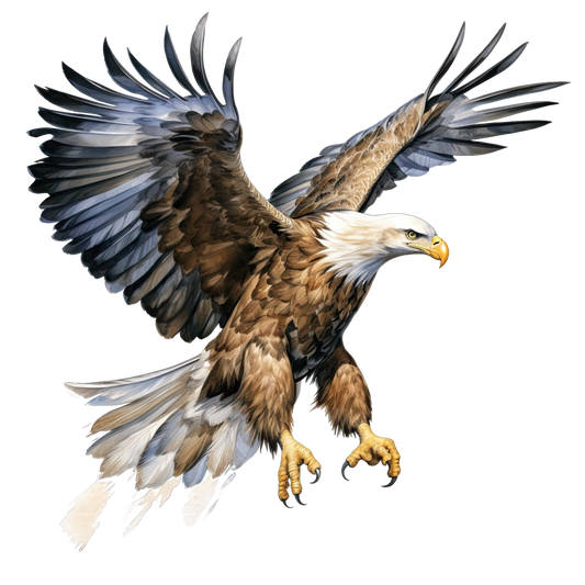 Eagle 4